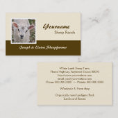 Carte de visite de ferme de moutons (Devant / Derrière)
