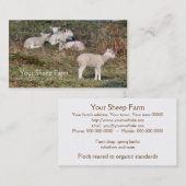 Carte de visite de ferme de moutons (Devant / Derrière)