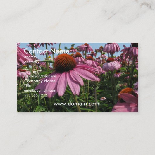 Carte de visite de fleur de cône (Devant)