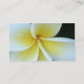 Carte de visite de fleur de Frangipani (Dos)