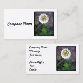 Carte de visite de fleur de tréfle blanc (Devant / Derrière)