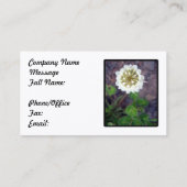 Carte de visite de fleur de tréfle blanc (Dos)