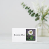 Carte de visite de fleur de tréfle blanc (Debout devant)