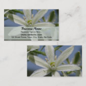 Carte de visite de fleurs blanches (Devant / Derrière)