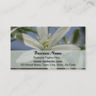 Carte de visite de fleurs blanches