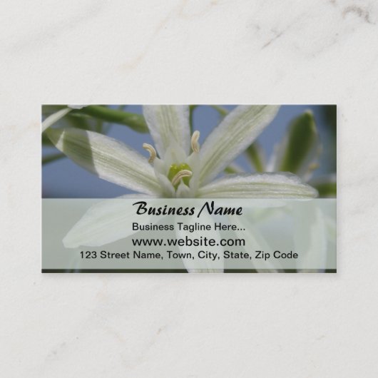 Carte de visite de fleurs blanches (Devant)