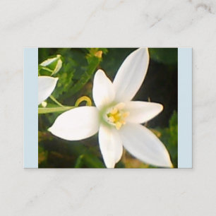 Carte de visite de fleurs blanches du printemps