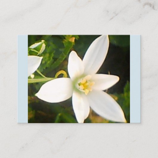 Carte de visite de fleurs blanches du printemps (Devant)