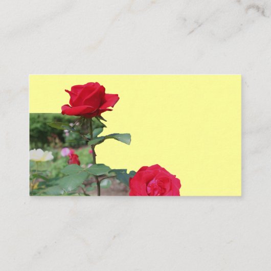 Carte de visite de fleurs Red Roses (Dos)