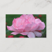 Carte de visite de fleurs rose paradisiaque (Dos)