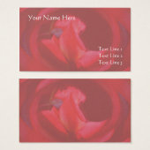 Carte de visite de fleurs rosebud rose (Devant & derrière)