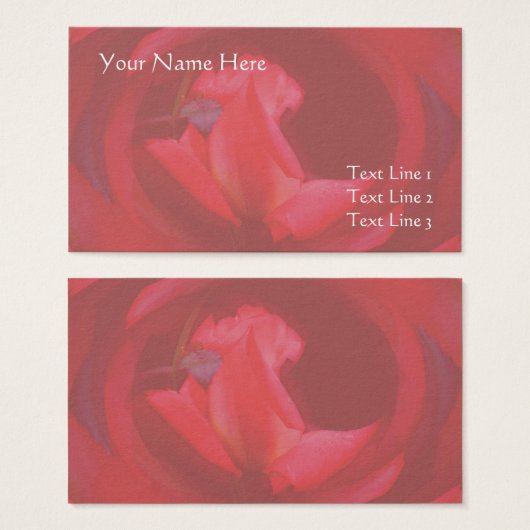 Carte de visite de fleurs rosebud rose (Devant & derrière)