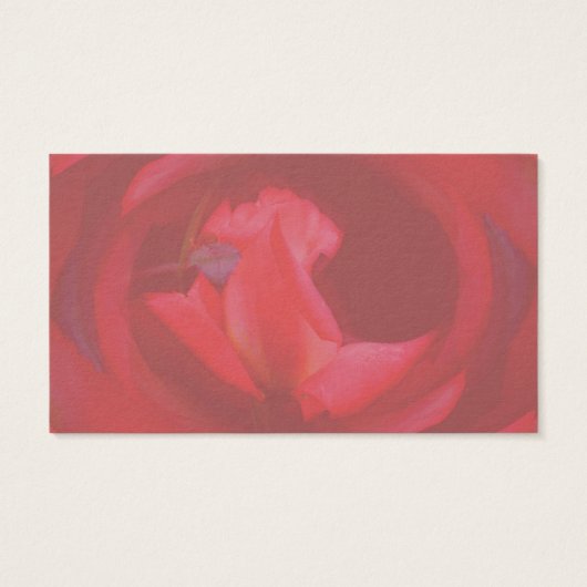 Carte de visite de fleurs rosebud rose (Dos)