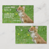 Carte de visite de Fox (Devant / Derrière)