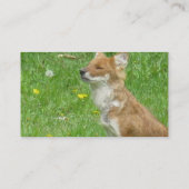 Carte de visite de Fox (Dos)