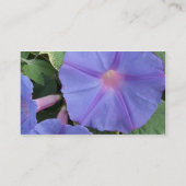 Carte de visite de gloire de matin (Dos)