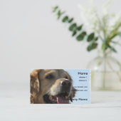 Carte de visite de golden retriever (Debout devant)