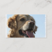 Carte de visite de golden retriever (Dos)