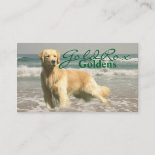 Carte de visite de GoldRox Goldens