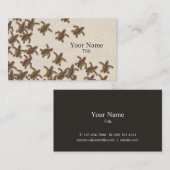 Carte de visite de Hatchlings de tortue de mer (Devant / Derrière)