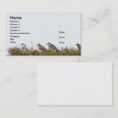 Carte de visite de héron de nuit (Devant / Derrière)