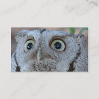 Carte de visite de hibou