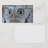 Carte de visite de hibou (Devant / Derrière)