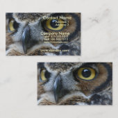 Carte de visite de hibou (Devant / Derrière)