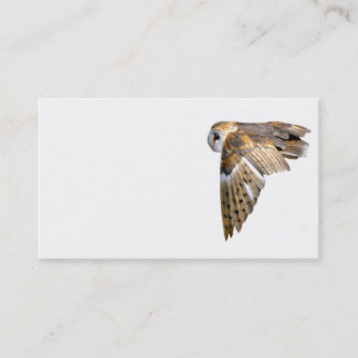 Carte de visite de hibou de grange de vol