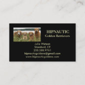 Carte de visite de Hipnautic Goldens (Dos)