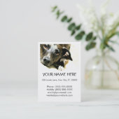 Carte de visite de Jack (Debout devant)