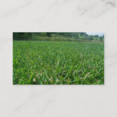 Carte de visite de jardin (Dos)