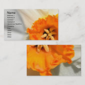 Carte de visite de jonquille (Devant / Derrière)