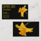 Carte de visite de jonquille (Devant / Derrière)