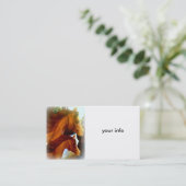 carte de visite de jument et de poney (Debout devant)