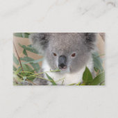 Carte de visite de koala (Dos)
