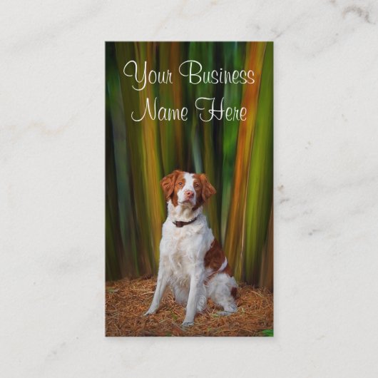 Carte de visite de la Bretagne (Devant)