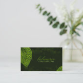 carte de visite de la feuille 311-Dream (Debout devant)