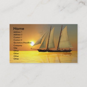 CARTE DE VISITE DE LA LUMIÈRE DE LA VIE