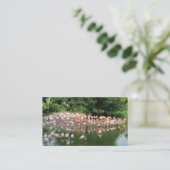 carte de visite de la nature du troupeau de flaman (Debout devant)