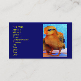 Carte de visite de la Poussin-Un-Dee-Lumière I