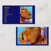 Carte de visite de la Poussin-Un-Dee-Lumière I (Devant / Derrière)