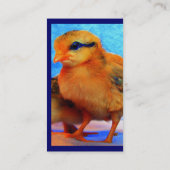 Carte de visite de la Poussin-Un-Dee-Lumière I (Dos)