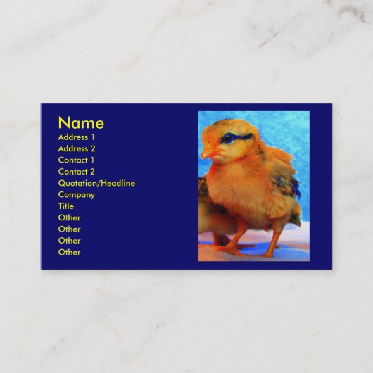 Carte de visite de la Poussin-Un-Dee-Lumière I (Devant)