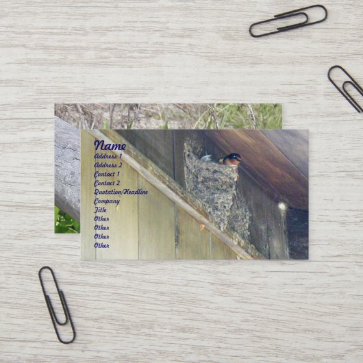 Carte de visite de la série Swallow (Devant/Arrière en situation)