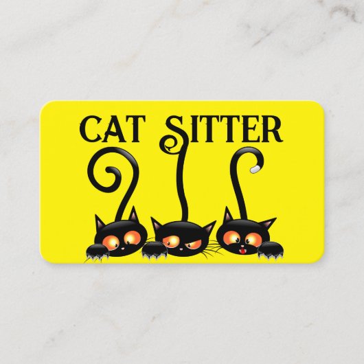 Carte de visite de la station de chat (Devant)