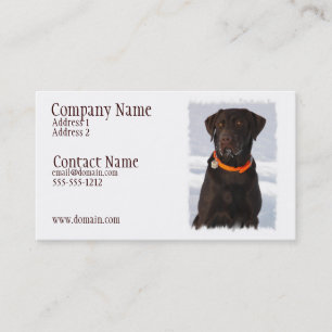Carte de visite de Labrador de chocolat
