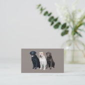 Carte de visite de labrador retriever (Debout devant)