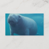 Carte de visite de lamantin (Dos)