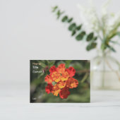 Carte de visite de Lantana (Debout devant)